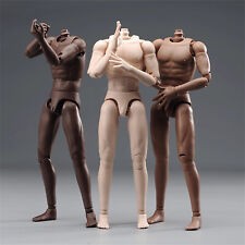 ZY Toys 1/6 Scale 12 Nude Male Muscular Man Figure Body Model Fit HT  Headsculpt